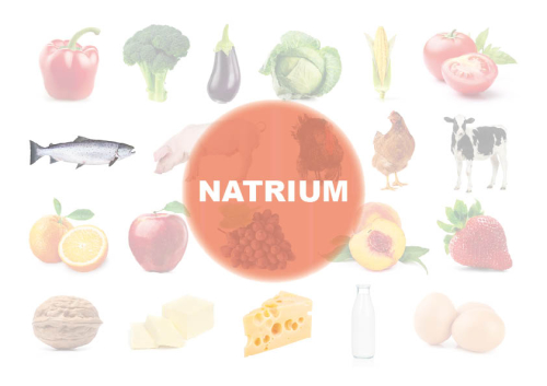 Wo Ist Viel Natrium Drin www.sananutrin.ch