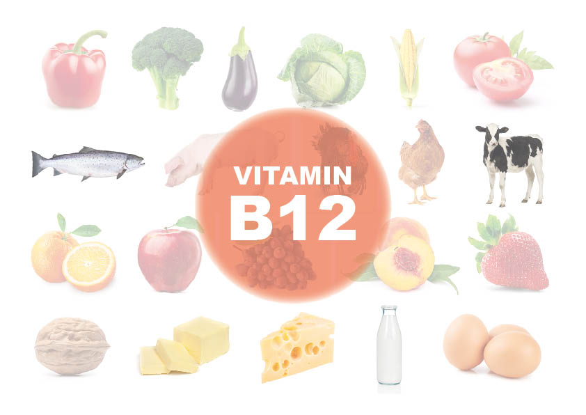 In Welchen Lebensmitteln Ist Vitamin B12 www.sananutrin.ch